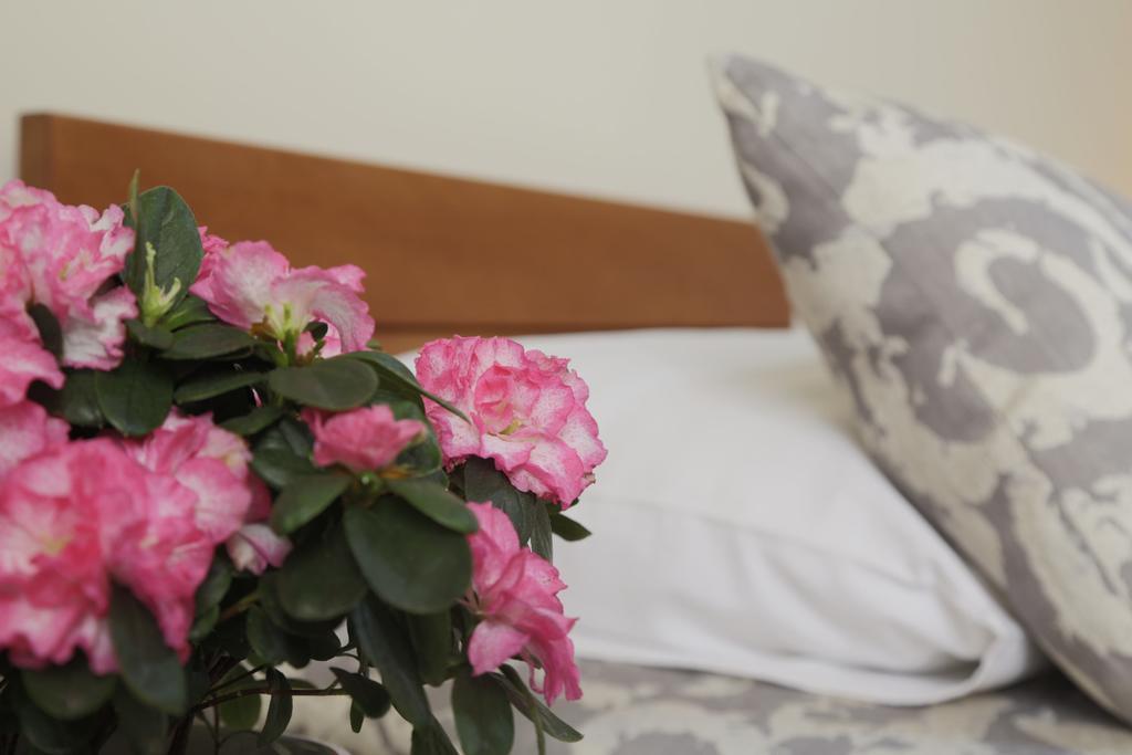 Accommodation Tara Белград Екстериор снимка